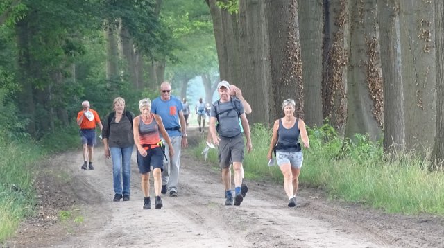 Singels en essen (zondag 10 juni 2018)